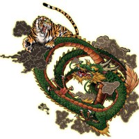  Bạn sẽ chết nếu không nắm một số mẹo khi chơi trò Rồng Hổ (Dragon &#038; Tiger)